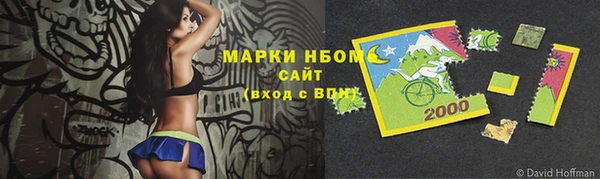 PSILOCYBIN Киренск
