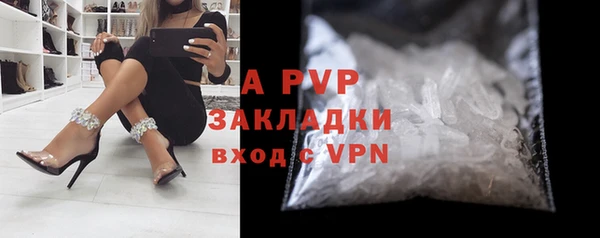PSILOCYBIN Киренск