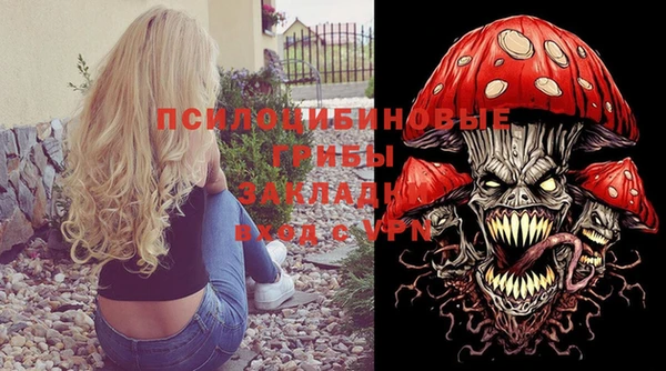 PSILOCYBIN Киренск