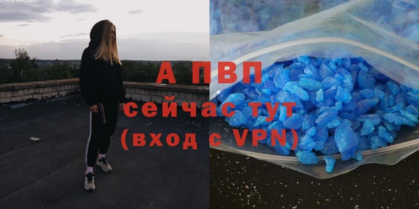 PSILOCYBIN Киренск