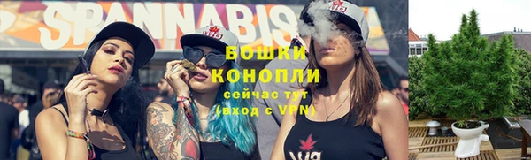 PSILOCYBIN Киренск